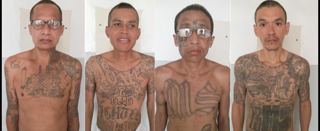 Tras cumplir condenas, 4 pandilleros estaban listos para salir a las calles: «Todos volverán a las rejas»