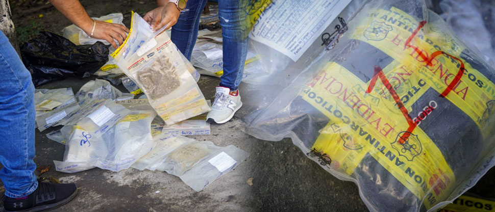 FGR coordina destrucción de droga valorada en más de 65 mil dólares