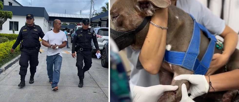Agentes capturan a desalmado que disparó a un perrito por «no dejarse tocar»