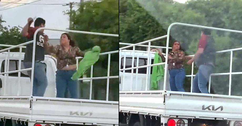 VIDEO | Captan a pareja que se agarra a «cinchazos» sobre un pickup en marcha