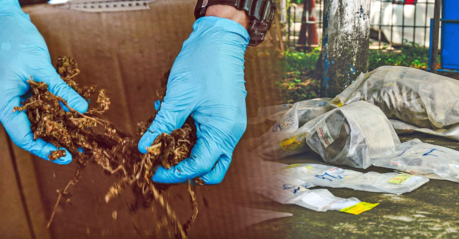 Autoridades verifican droga incautada que será destruida este día