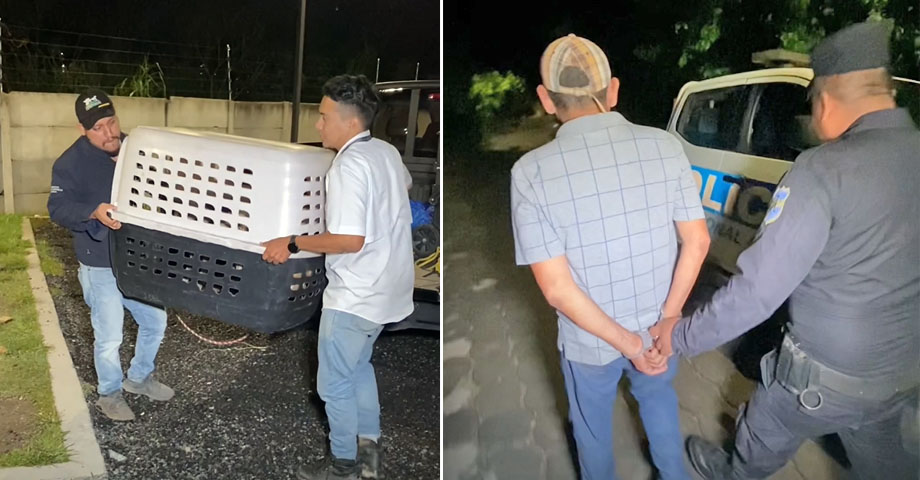 Hacen efectiva la captura de un sujeto que por descuido causó lesiones en su mascota