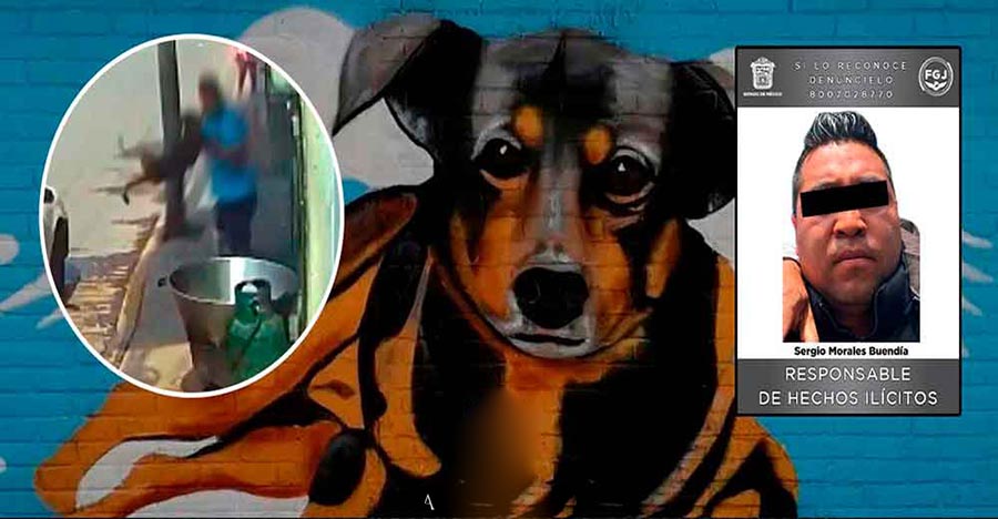 Condenan a sujeto que arrojó a perrito dentro de olla con aceite hirviendo en México