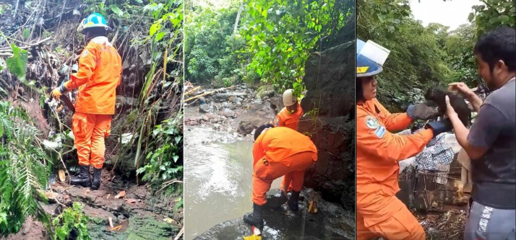 Bomberos rescatan a un perrito en riesgo de ser arrastrado por corriente de una quebrada