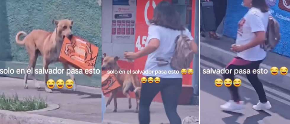 VIDEO: Perrito se lleva la pizza de una joven y corre para alcanzarlo en plena calle