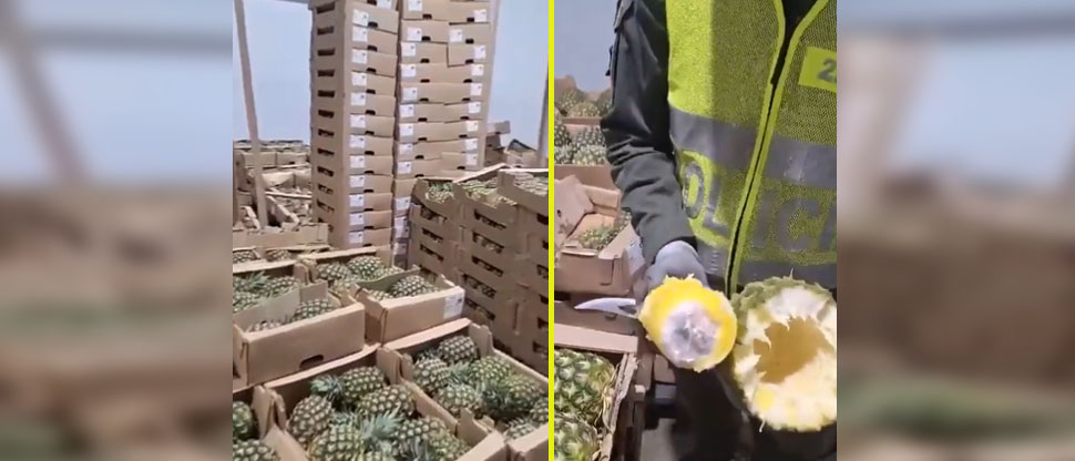 Incautan 63 kilos de cocaína ocultos dentro de piñas en Colombia