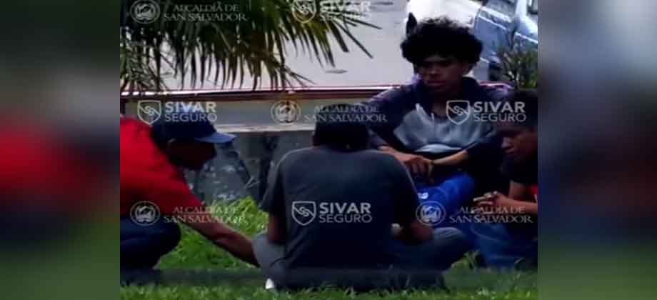 Sujetos son grabados por sistema Sivar Seguro consumiendo alcohol en plena vía pública