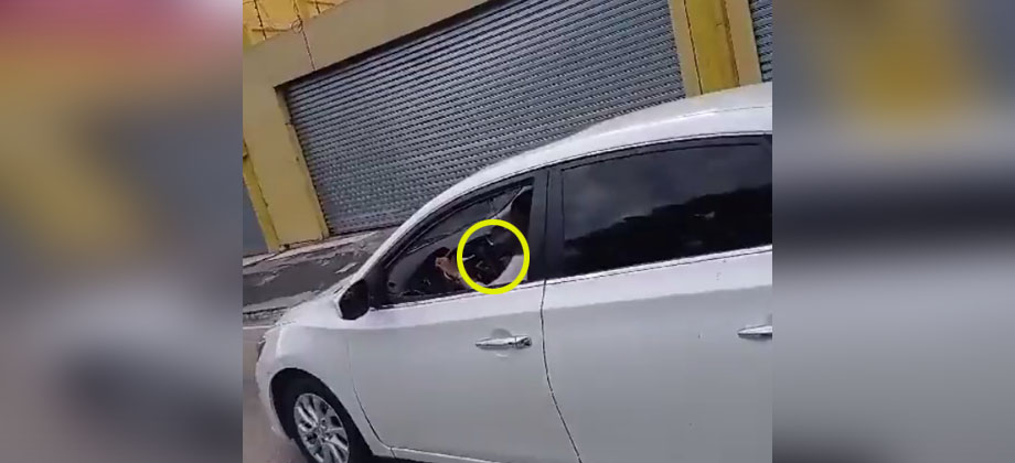 Multan a conductora que iba distraída viendo el celular en la Ceiba de Guadalupe