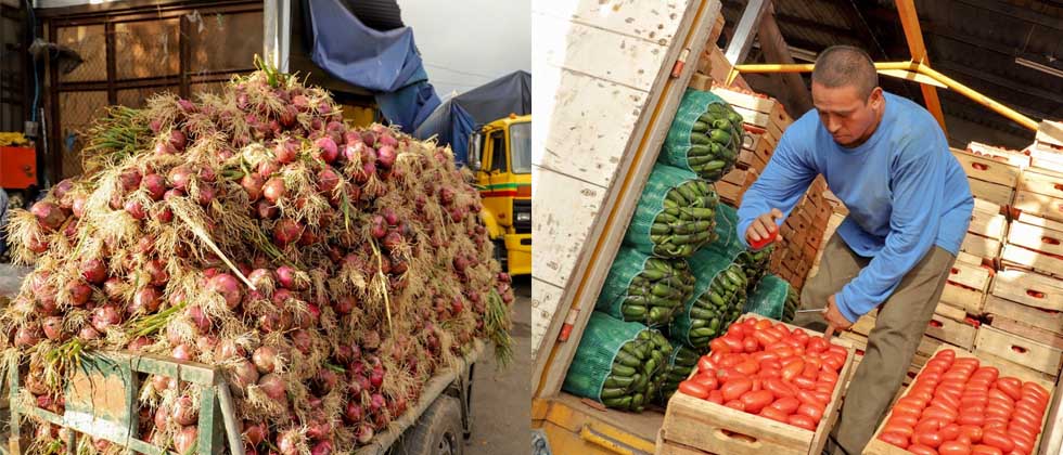 Continúan operativos para prevenir alza y acaparamiento de frutas y verduras en La Tiendona