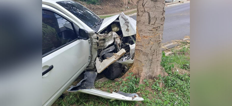 Conductor se estrella contra un árbol en la Colonia Escalón, Santa Ana