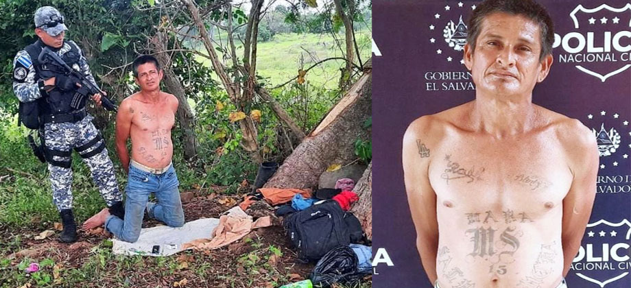 Cae gatillero de la MS-13 que se escondía en una zona rural en Sonsonate