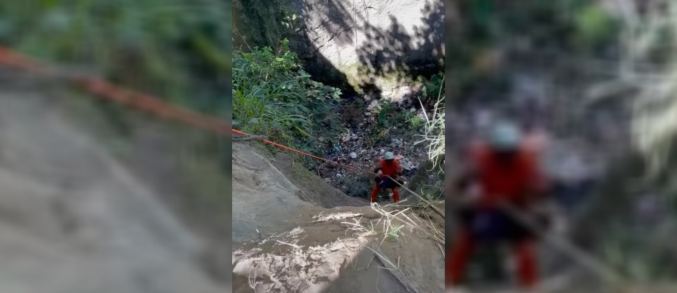 Rescatan a perrito ciego que cayó en un barranco