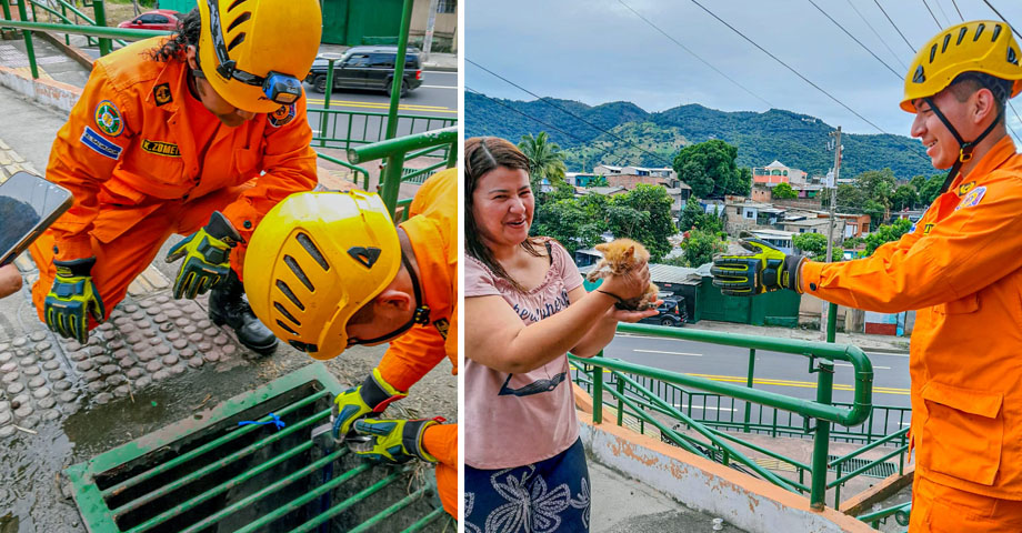 Bomberos se visten de héroes y rescatan a un gatito que cayó en una alcantarilla