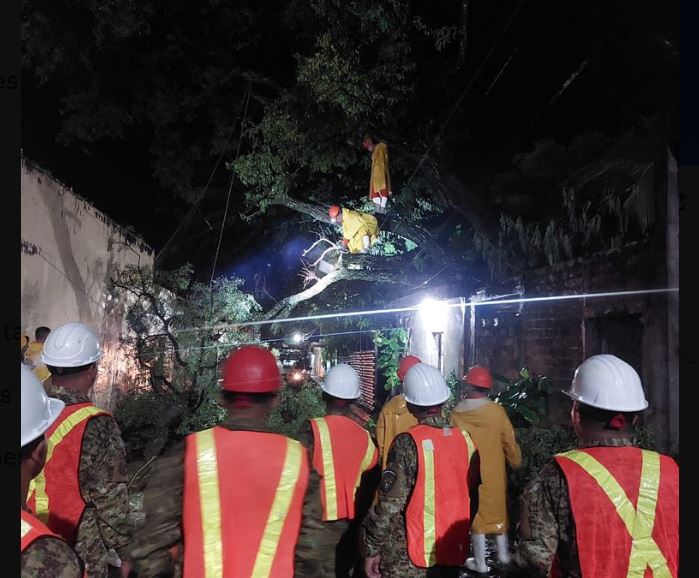 Un árbol de gran proporción cae sobre una vivienda en San Vicente