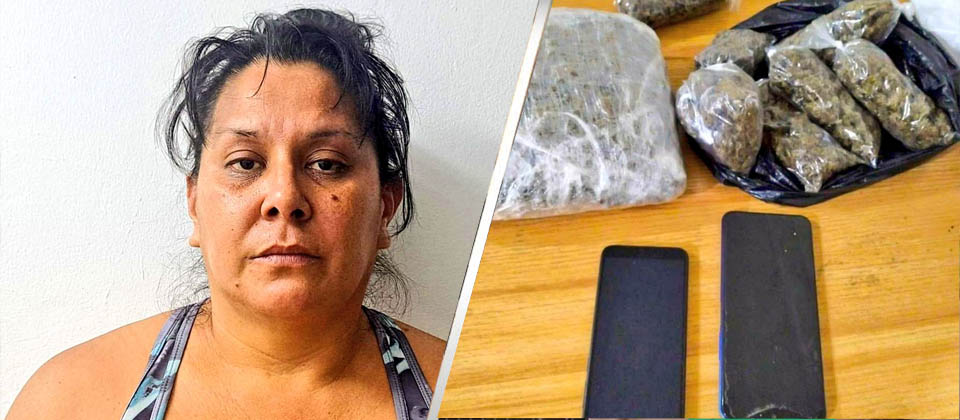 Detienen a mujer que le gustaba ayudar a la pandillas para delinquir