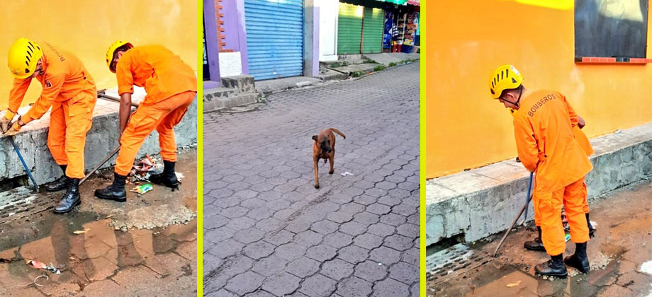 Rescatan a perrito que cayó dentro de tragante en Cojutepeque