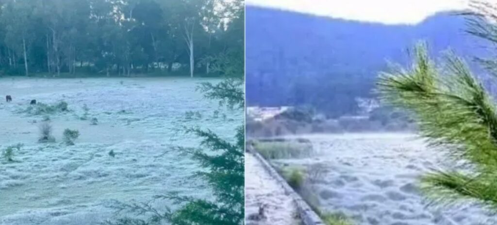 Chiapas se viste de blanco con la primera helada