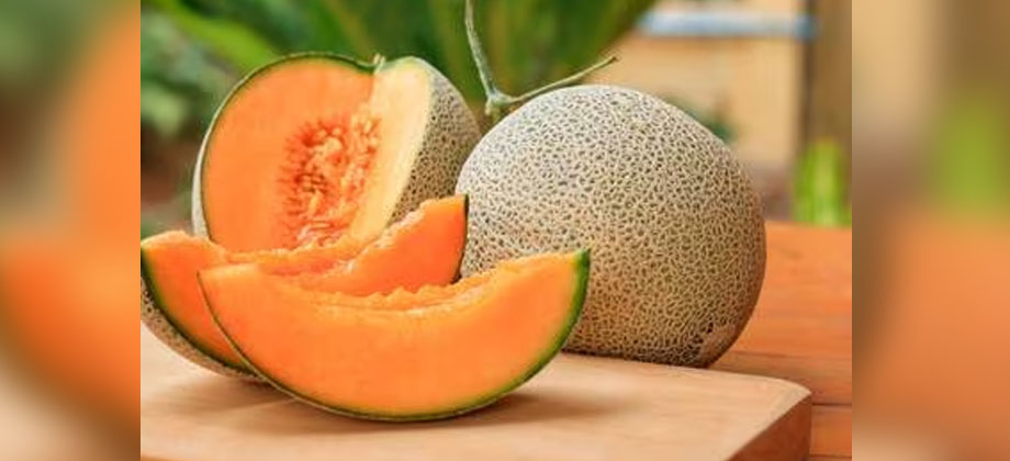 Fallecen 8 personas por comer melones en EUA y Canadá