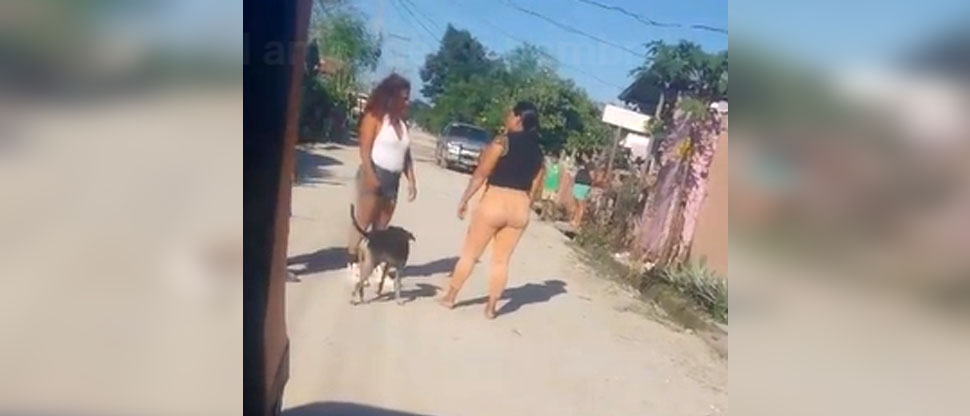 Por el amor de un hombre, mujeres se agarran del pelo en plena calle