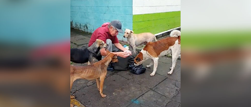 A pesar de sus limitaciones, anciano compra comida para alimentar a perritos de la calle