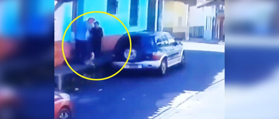 Captan indignante momento cuando sujeto agarra a patadas a un gato