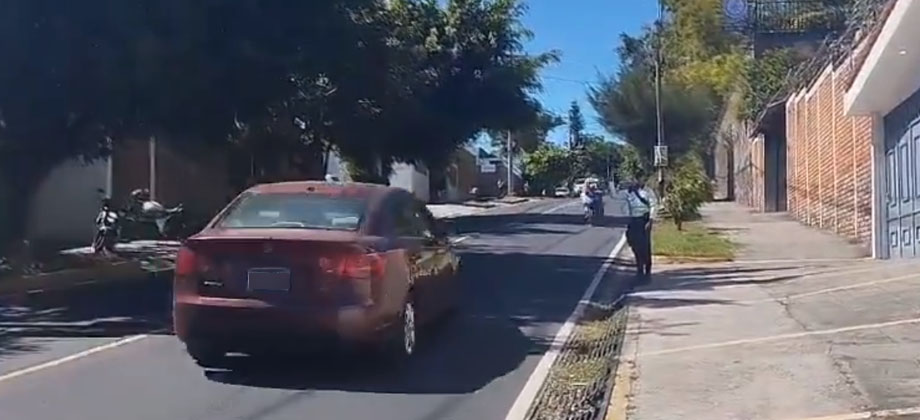 Habilitan paso vehicular tras caída de un árbol en calle el Mirador, San Salvador