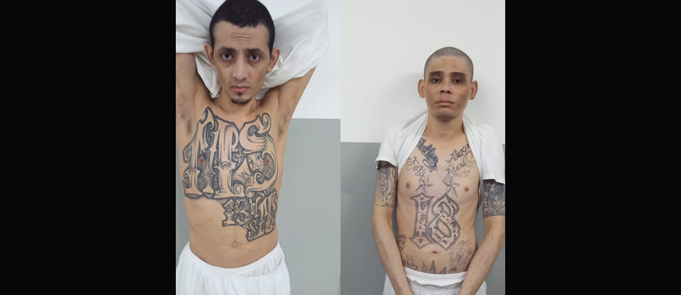 Capturan a peligrosos terroristas que pensaron quedarían libres tras acabar condenas