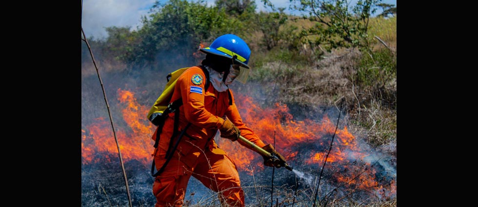 Sofocan incendio sobre la carretera Longitudinal del Norte