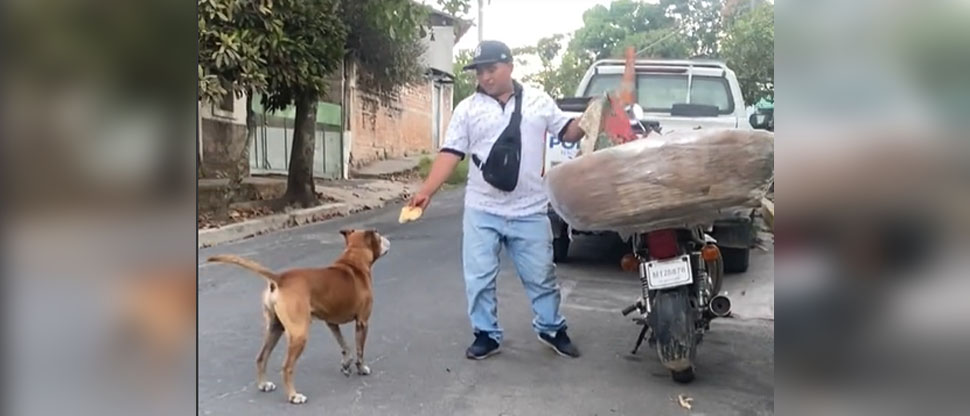 Viralizan noble gesto de vendedor de pan que alimentó a perrito callejero