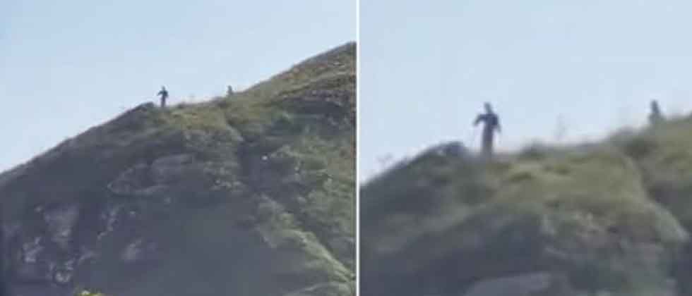 VIDEO: Captan dos extrañas criaturas gigantes en Brasil