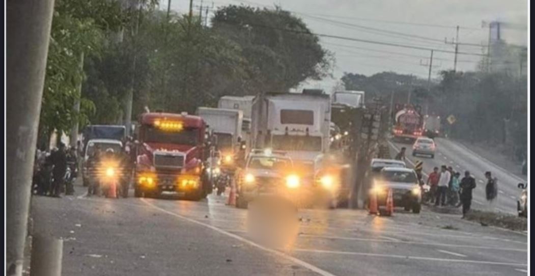 Peatón pierde la vida esta mañana al intentar cruzar la carretera