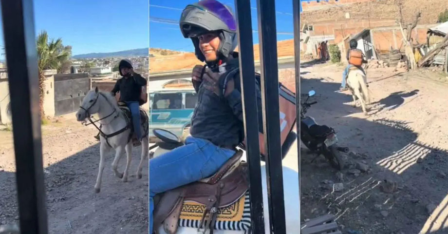 Ingenioso: Se le daño la moto y ahora entrega pedidos montando a caballo