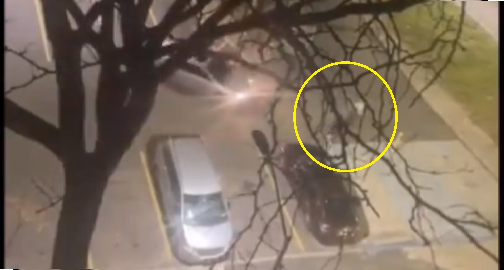 Mujer pierde la vida al ser atropellada en medio de una disputa por un triángulo amoroso en Brooklyn