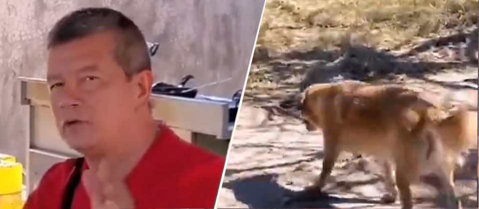 Perrito decide irse tras escuchar a Chino Flores  deseando Feliz Año Nuevo