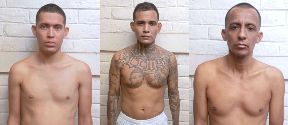 Vuelven a sus celdas tres terroristas que pensaron que quedarían en libertad