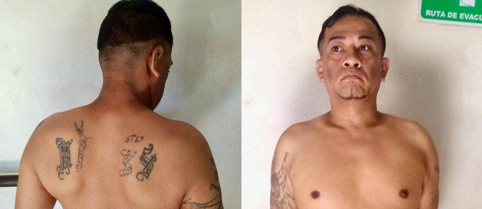 Arrestan a MS que seguía operando en Santa Ana