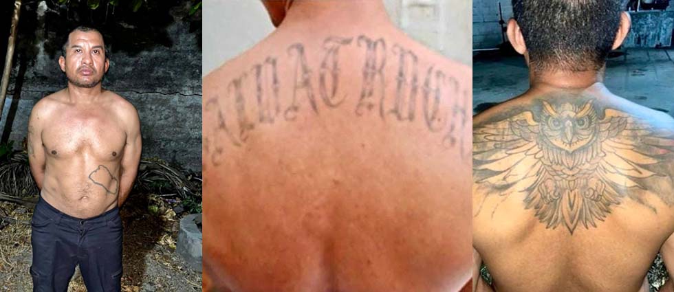 Cae MS que cambió sus tatuajes para evitar la cárcel