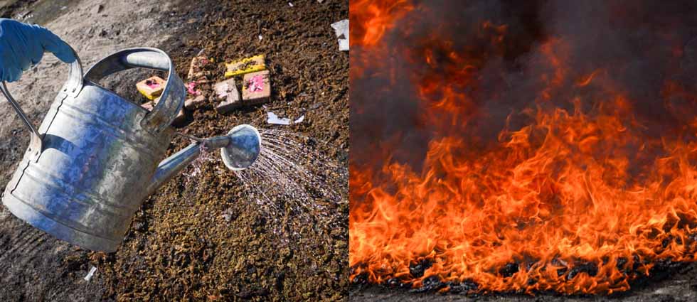 Destruyen droga valorada en casi $19 mil