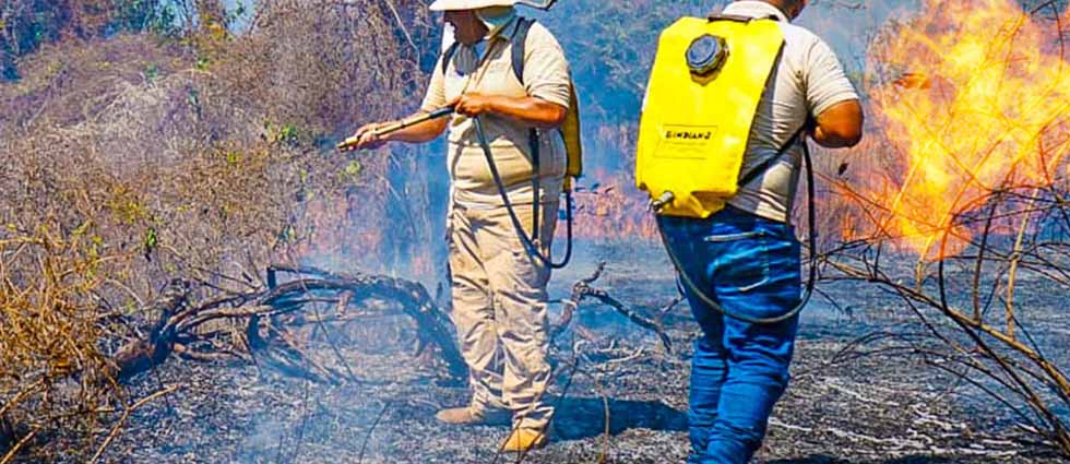 Incendio forestal en Complejo Los Cóbanos afecta unas 20 hectáreas
