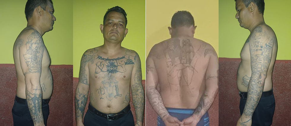 Cae peligroso homeboy de la MS que operaba en San Miguel