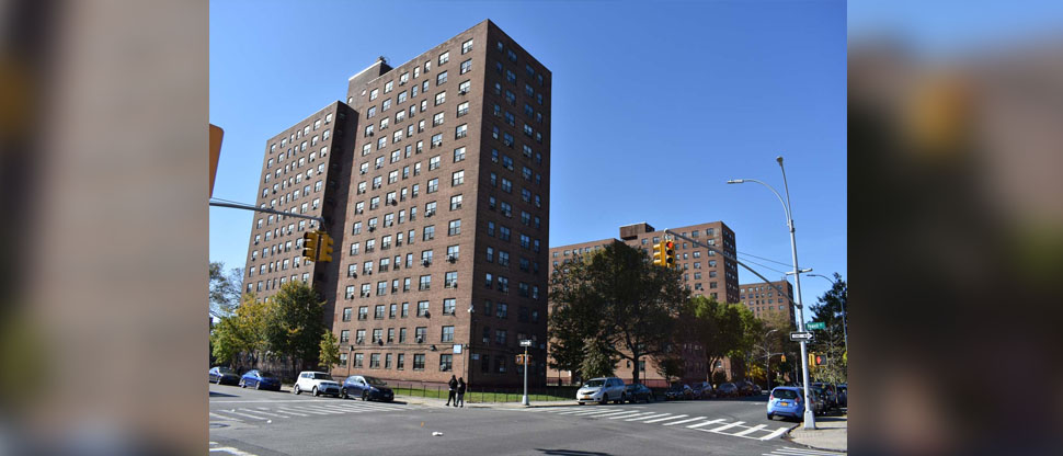 Mujer en Nueva York le prende fuego a un vecino de 73 años porque le debía $100