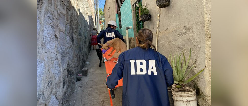 IBA informa primer encuentro de rescatistas y refugios del país