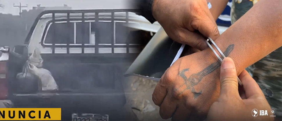 Capturan a sujeto que transportaba patos en condiciones deplorables