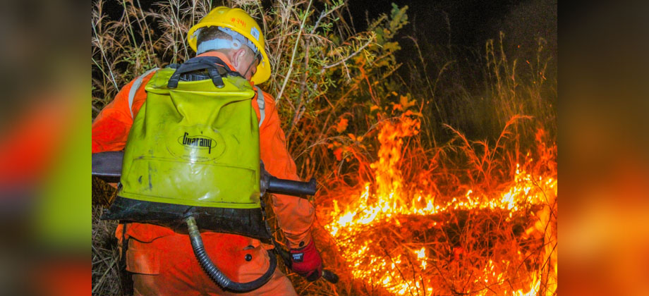 Bomberos sofocan fuerte incendio en maleza seca en Chalatenango