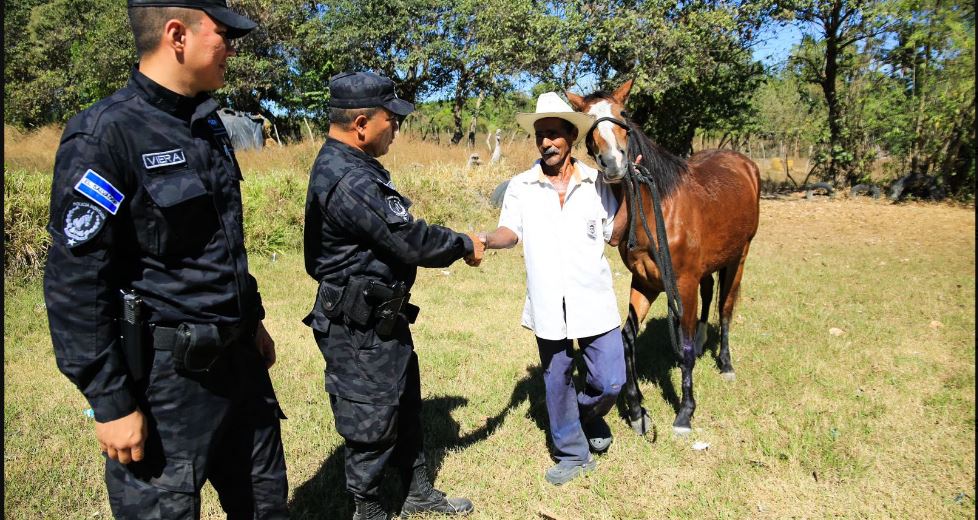 Yegua que deambulaba por San Salvador se reencuentra con su legítimo dueño