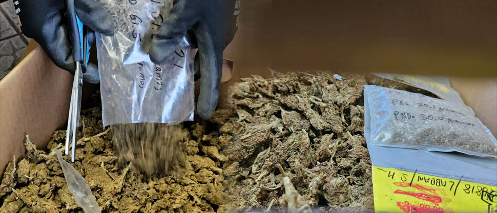 Fiscalía coordina destrucción de droga incautada en varios procedimientos en el oriente del país