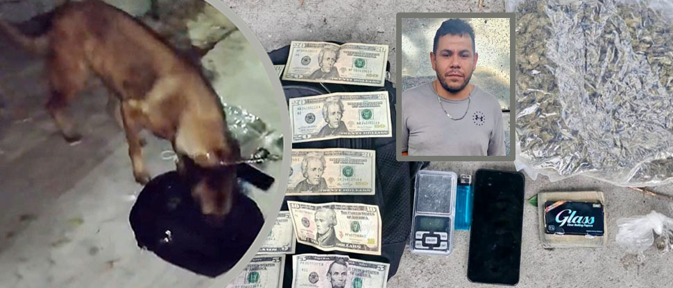 Agente canino localiza drogas que sujeto escondía para comercializarla en San Salvador