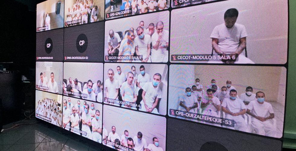 Tribunal dará a conocer resolución contra 942 cabecillas de la MS-13