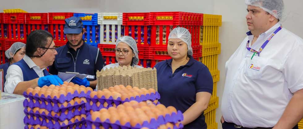 Inspeccionan empresas productoras de huevos para garantizar comercialización a precio justo