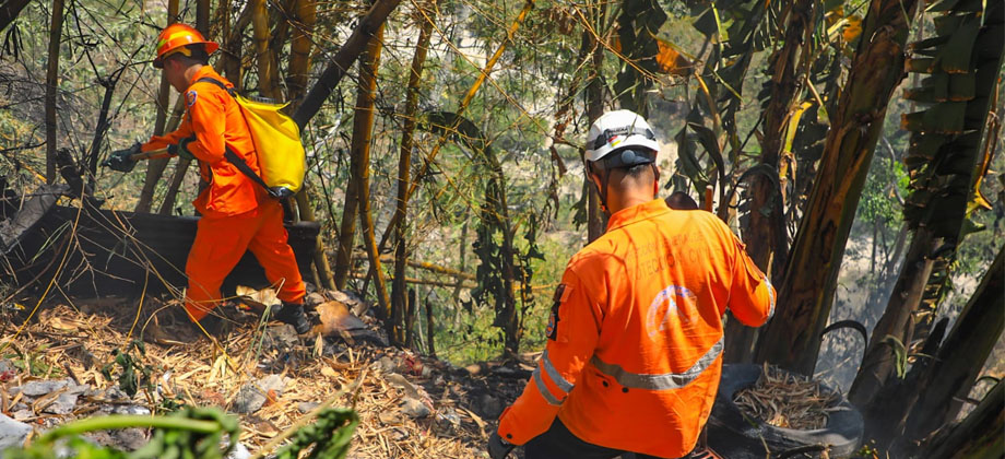 Sofocan incendio que amenazaba con propagarse a una comunidad en Ilopango